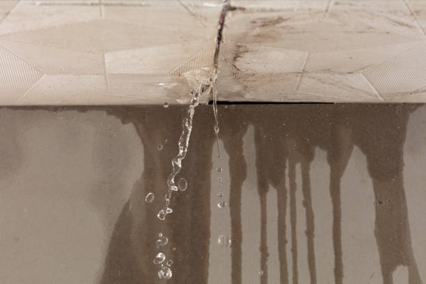 Professional Structural Drying technician working in East Nassau, NY